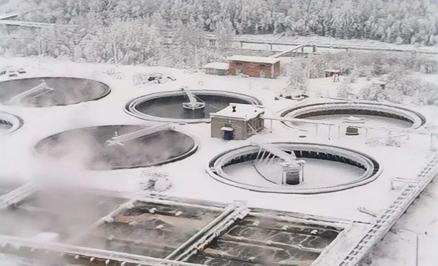 低温反硝化菌,低温菌,低温硝化菌,低温耐寒氨氮激活菌